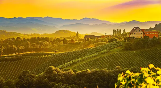 Tuscan Hills at sunset, with trees and farmland in the forefront