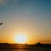 Airplane taking off at sunset over an airport 